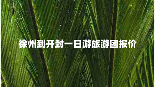 徐州到開(kāi)封一日游旅游團(tuán)報(bào)價(jià)