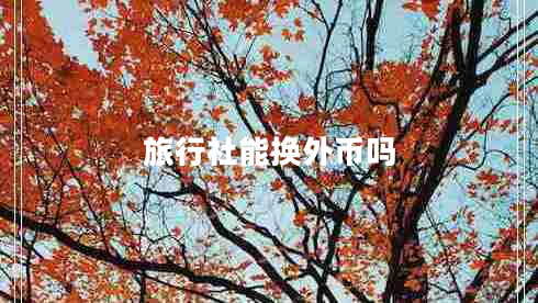 旅行社能換外幣嗎