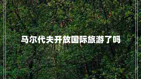 馬爾代夫開放國(guó)際旅游了嗎