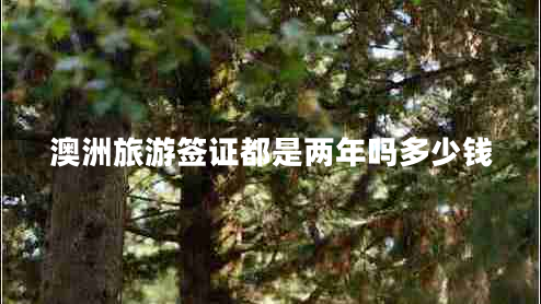 澳洲旅游簽證都是兩年嗎多少錢