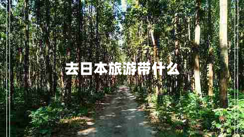 去日本旅游帶什么