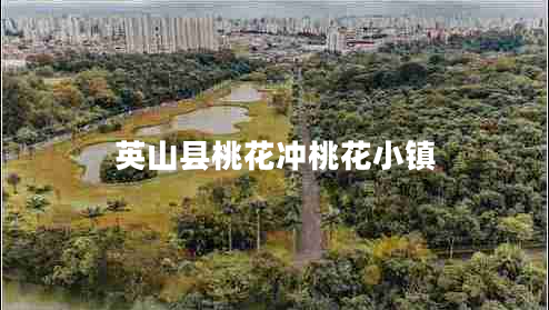 英山縣桃花沖桃花小鎮