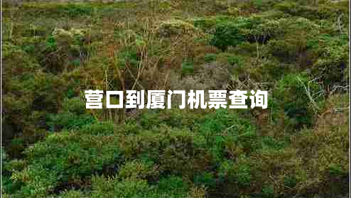 營(yíng)口到廈門機(jī)票查詢