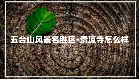 五臺山風(fēng)景名勝區-清涼寺怎么樣