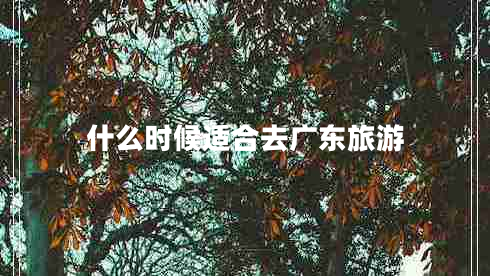 什么時(shí)候適合去廣東旅游