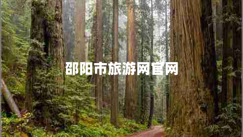 邵陽市旅游網(wǎng)官網(wǎng)