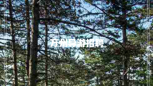 萬州導(dǎo)游招聘
