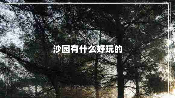 沙園有什么好玩的