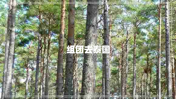 組團(tuán)去泰國