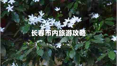 長春市內(nèi)旅游攻略
