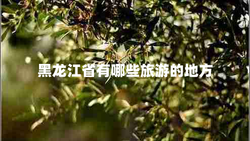 黑龍江省有哪些旅游的地方