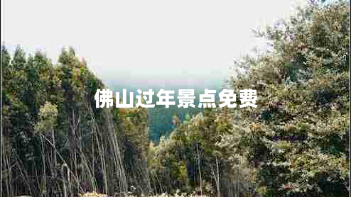 佛山過(guò)年景點(diǎn)免費(fèi)