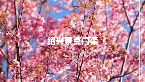 紹興景點(diǎn)門(mén)票