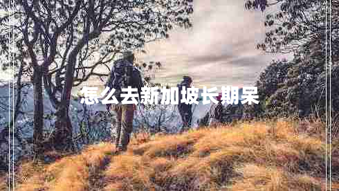 怎么去新加坡長期呆