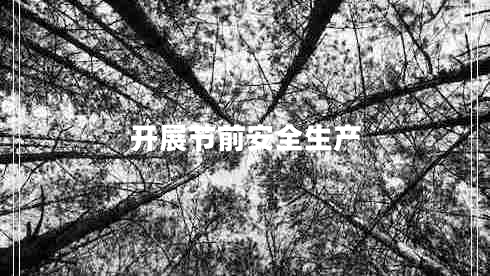 開展節(jié)前安全生產(chǎn)
