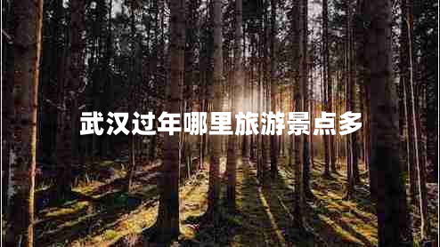 武漢過年哪里旅游景點多