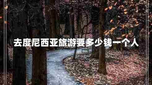 去度尼西亞旅游要多少錢(qián)一個(gè)人