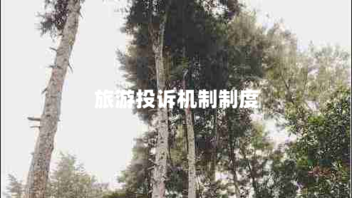 旅游投訴機制制度