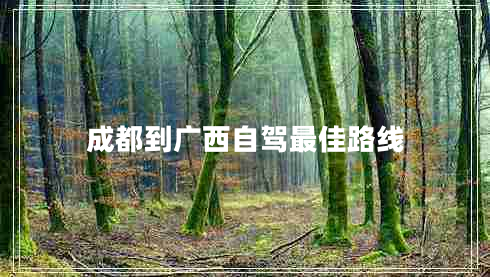 成都到廣西自駕最佳路線(xiàn)