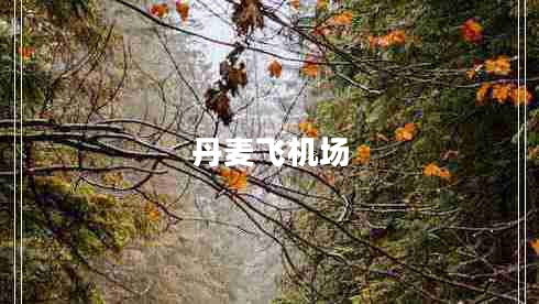 丹麥飛機(jī)場