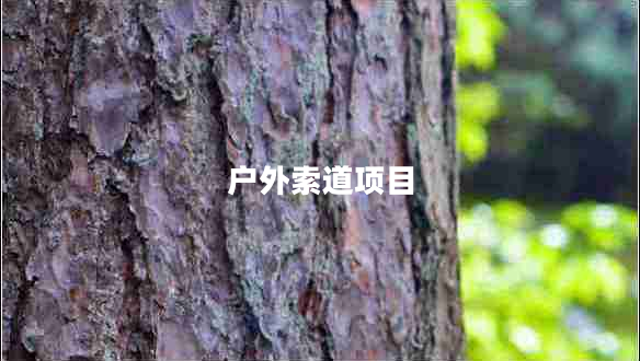 戶外索道項目