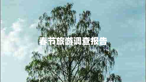 春節旅游調查報告