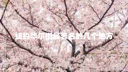 紐約華爾街最著(zhù)名的幾個(gè)地方