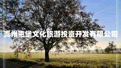貴州屯堡文化旅游投資開(kāi)發(fā)有限公司