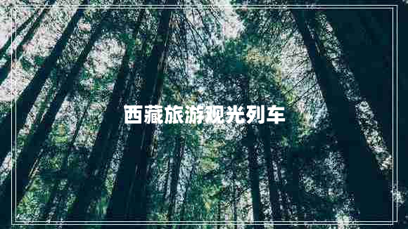 西藏旅游觀光列車
