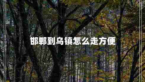 邯鄲到烏鎮(zhèn)怎么走方便