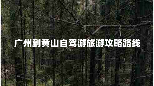 廣州到黃山自駕游旅游攻略路線