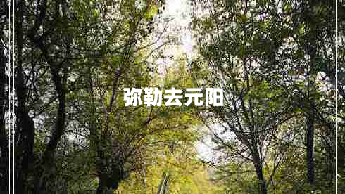 彌勒去元陽