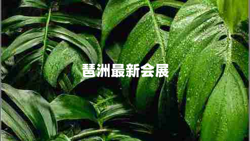 琶洲最新會展