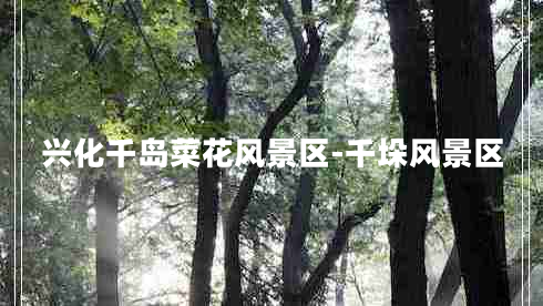 興化千島菜花風景區(qū)-千垛風景區(qū)