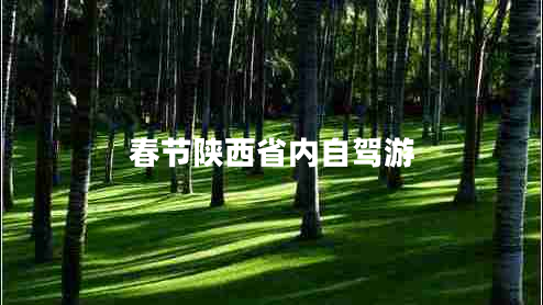 春節陜西省內自駕游
