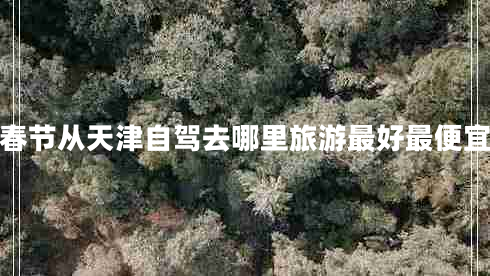 春節(jié)從天津自駕去哪里旅游最好最便宜