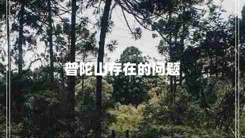 普陀山存在的問題