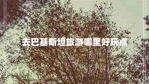 去巴基斯坦旅游哪里好玩點(diǎn)