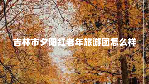吉林市夕陽紅老年旅游團(tuán)怎么樣