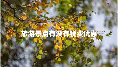 旅游景點有沒有稅費優(yōu)惠