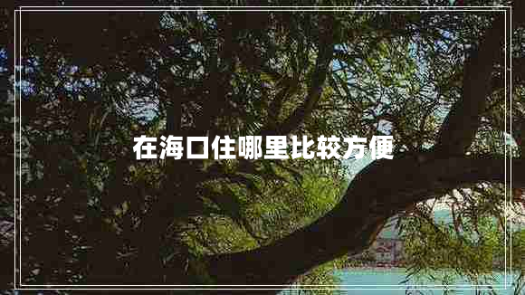 在?？谧∧睦锉容^方便