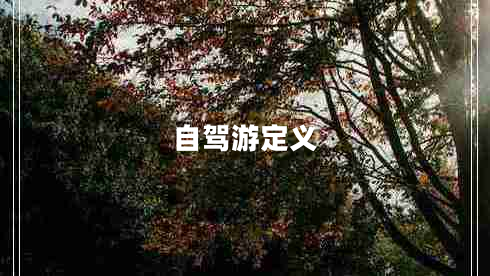 自駕游定義