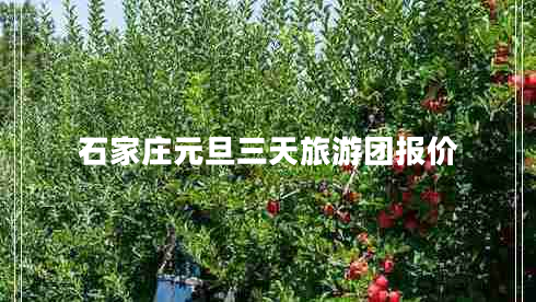 石家莊元旦三天旅游團報價(jià)