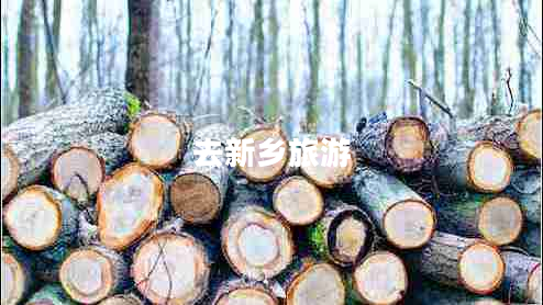 去新鄉旅游