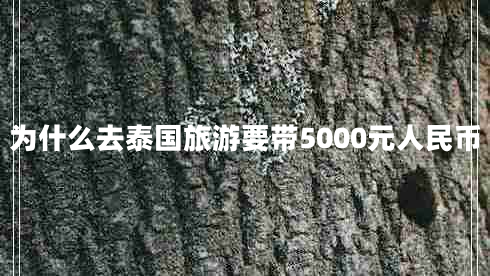 為什么去泰國(guó)旅游要帶5000元人民幣
