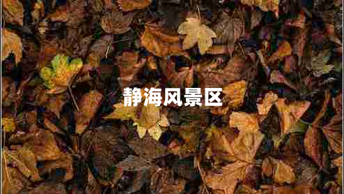 靜海風景區(qū)