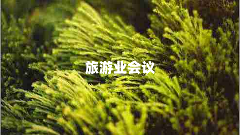 旅游業(yè)會(huì )議