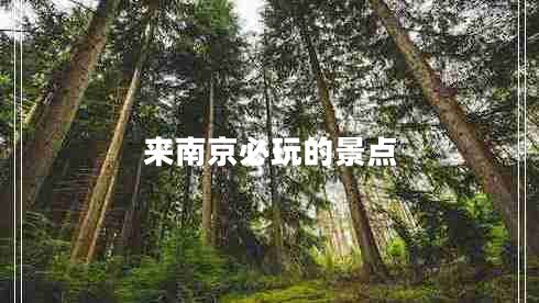 來南京必玩的景點(diǎn)