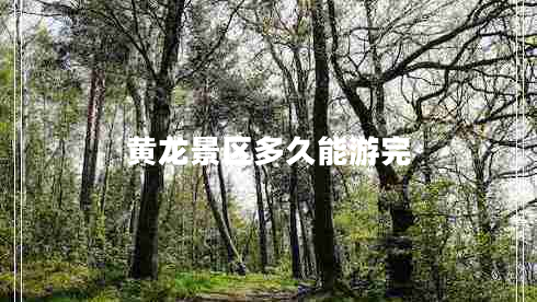 黃龍景區(qū)多久能游完