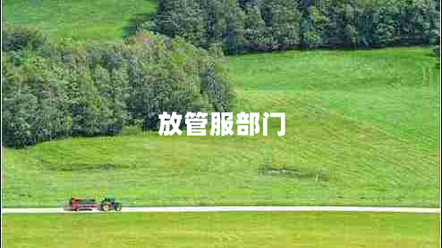 放管服部門